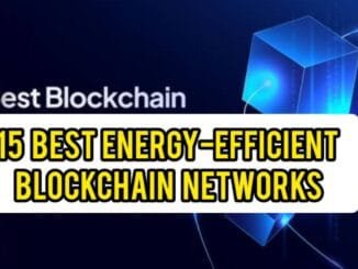 Best Energy-Efficient Blockchain Networks