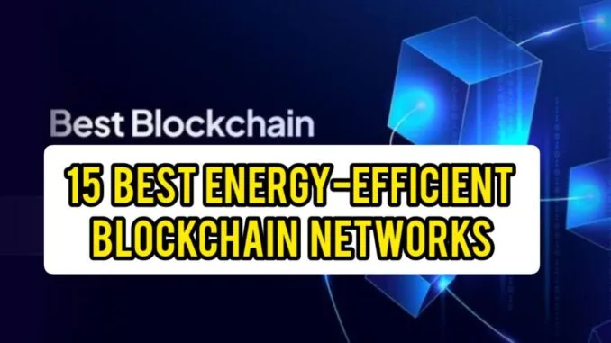 Best Energy-Efficient Blockchain Networks