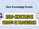 Zero-Knowledge Proofs