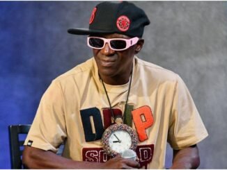 Flavor Flav Net Worth