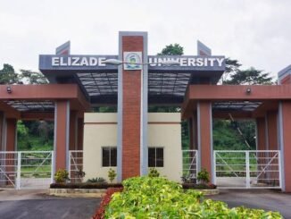Elizade University School Fees