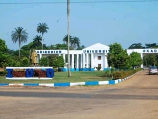Igbinedion University School Fees