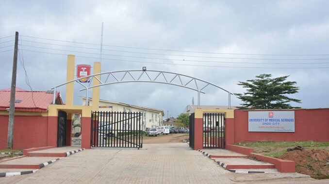 unimed-school-fees UNIMED School Fees